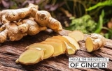 Health Benefits Of Ginger For Your Kids