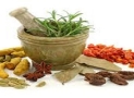 Export of Ayurvedic medicines increased due to Corona