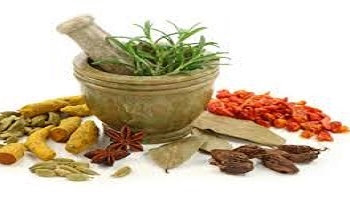 Export of Ayurvedic medicines increased due to Corona