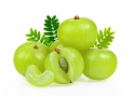 Health Benefits of Gooseberry (Amla) To Boost Kids Immunity