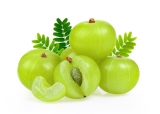 Health Benefits of Gooseberry (Amla) To Boost Kids Immunity