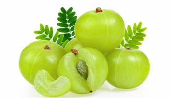 Health Benefits of Gooseberry (Amla) To Boost Kids Immunity