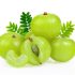 Health Benefits of Amla(Gooseberry) for Pregnant Women