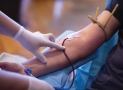 Procedure of Blood Donation