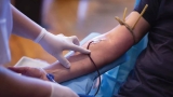 Procedure of Blood Donation